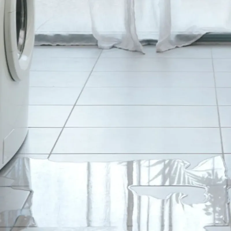 Appliance Leak Cleanup in Palmhurst, TX